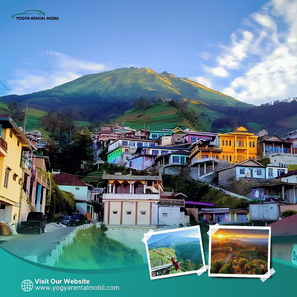 Paket Wisata 11